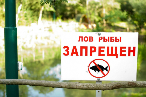 В Самарской области с 20 апреля запретили рыбачить