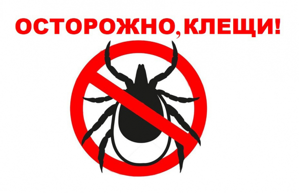 Напоминаем про КЛЕЩЕЙ!