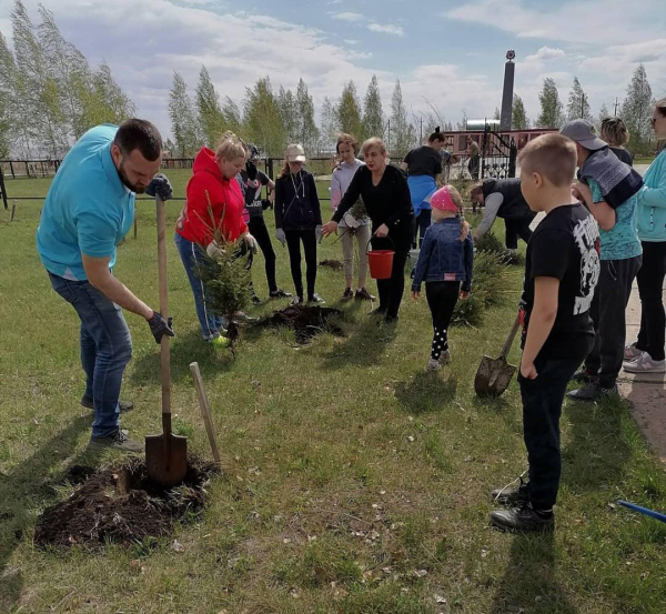 Акция по посадке елей в поселке Сургут
